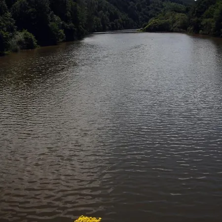 Du Lac Auberge de jeunesse Bavigne