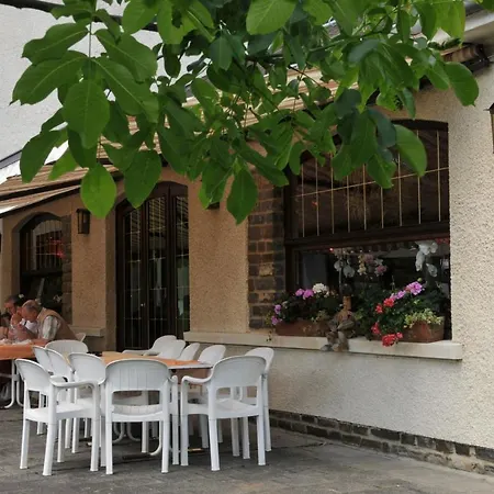 Du Lac Bavigne